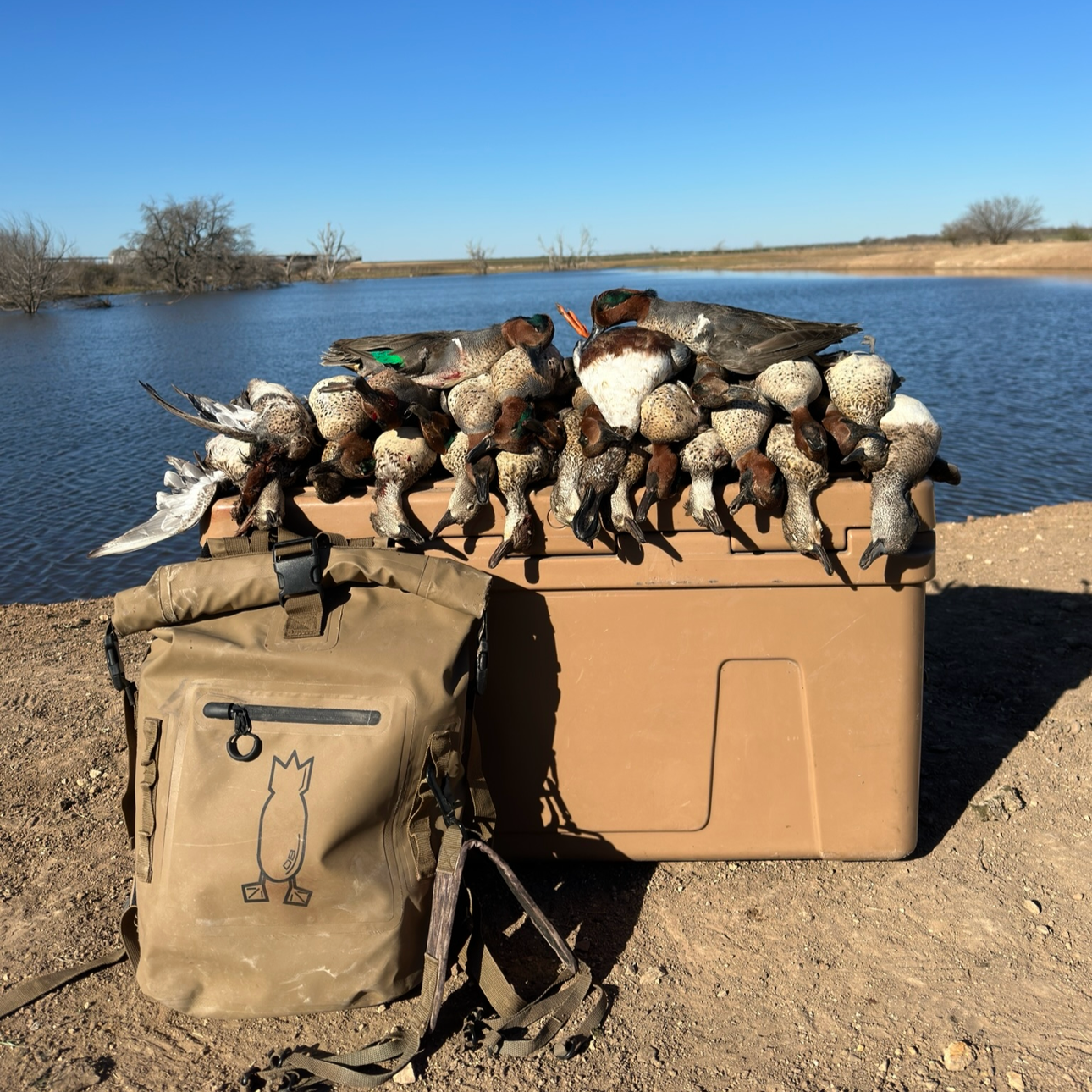 Weekend Bird Package