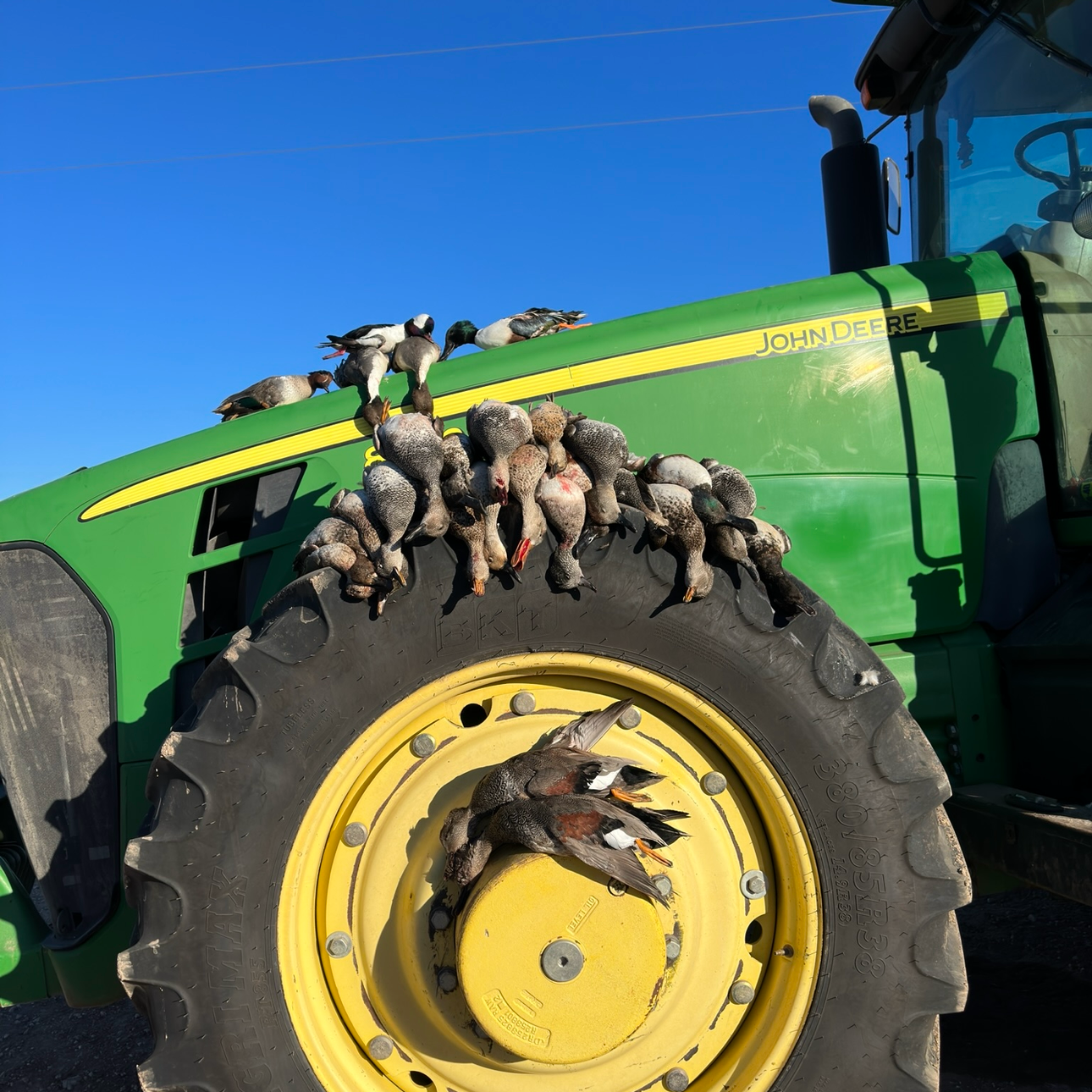 Lodged Waterfowl Hunt